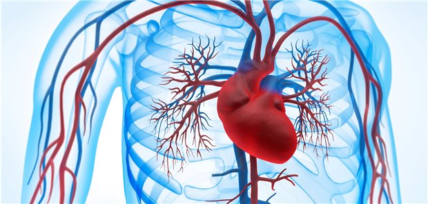 Bei Endokarditis werden unter anderem Herzklappenoperationen als Ursache diskutiert. Fallserien haben bei Endokarditispatienten aber auch immer wieder eine hohe Rate von Hautverletzungen ergeben.
