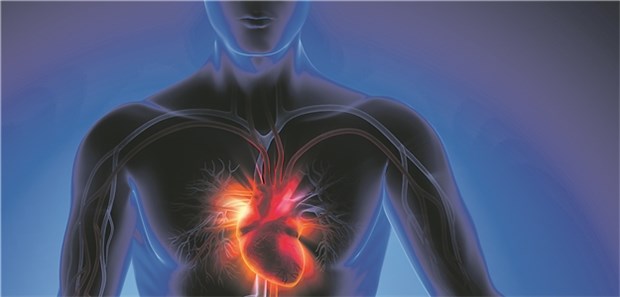 Bei Herzinsuffizienz mit erhaltener Auswurffraktion senken Betablocker offenbar Gesamtsterblichkeit und kardiovaskuläre Sterblichkeit.