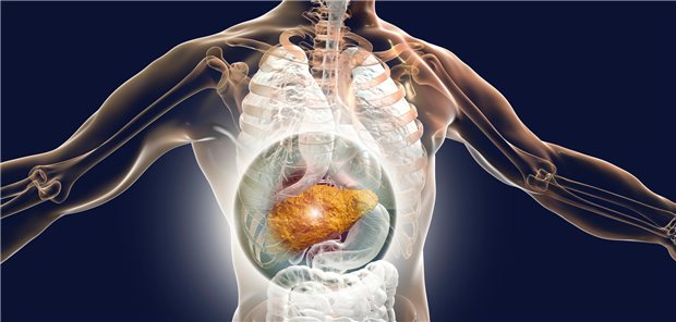 Bei Leberzirrhose liegt das Risiko für eine Dekompensation im ersten Jahr nach Diagnosestellung bei bis zu 30 Prozent; eine der häufigsten Formen der Dekompensation, Aszites, entwickelt sich im Laufe des Lebens bei bis zu 40 Prozent der Personen mit Leberzirrhose.