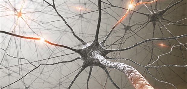 Lässt sich Multiple Sklerose durch Zerstörung des Immunsystems heilen? Bei MS entzündet sich äußere Schicht der Nervenzellen. Ein "Reboot" des Nervensystems kann die Krankheit anscheinend heilen.