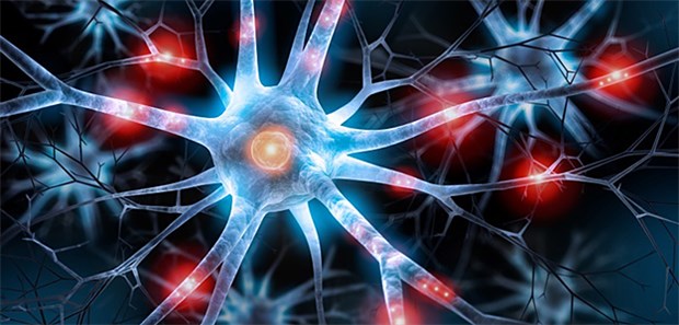 Bei MS schädigt das eigene Immunsystem die Außenhülle der Nervenfasern.