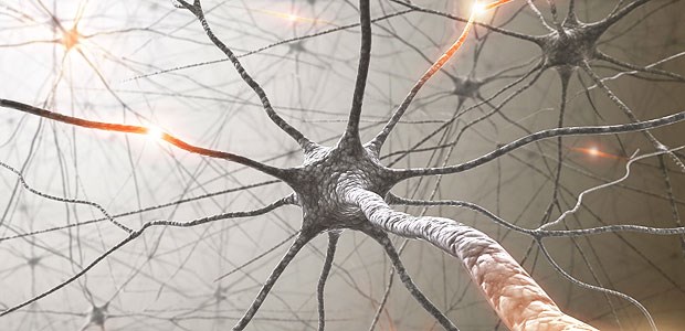 Tuberkulose-Impfstoff schützt vor Multipler Sklerose Bei Multipler Sklerose ist das zentrale Nervensystem geschädigt.