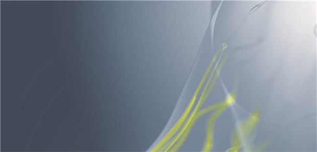 Bei Östrogenrezeptor-positivem Mammakarzinom scheint sich eine Cholesterinsenkung zusätzlich zur Hormontherapie positiv auszuwirken.