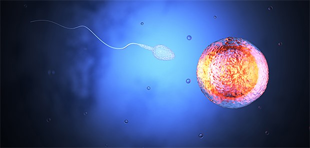 Häufiger Sex bei Fertilitätsproblemen kein Nachteil Bei Oligozoospermie macht es keinen Sinn, beim Sex enthaltsam zu sein, um einen Kinderwunsch zu realisieren.
