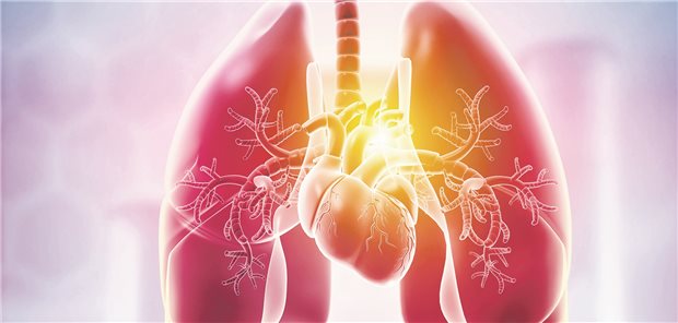 Bei PAH-Patienten ist das Therapieziel, eine geschätzte 1-Jahres-Mortalität unter fünf Prozent zu erreichen.