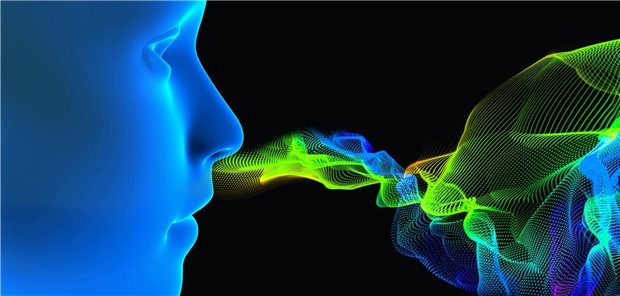 Bei Patienten mit Riechtraining besserten sich Geruchswahrnehmung und Schmerzempfinden.