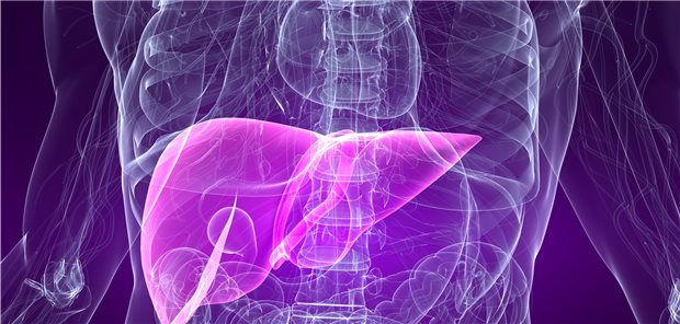 Bei Patienten mit chronischer Lebererkrankung kann eine Thrombozytopenie operative Eingriffe erschweren.