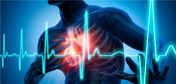 Bei Patienten mit paroxysmalem Vorhofflimmern könnte Alkoholabstinenz das Risiko für erneute Flimmerepisoden reduzieren.