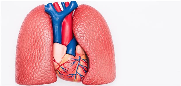 Bei Rheumatoider Arthritis sollte auch die Lunge im Blick behalten werden