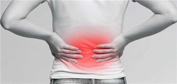 Bei Rückenschmerzen gilt es, die „red flags“ abzuklären. Hierzu zählen unter anderen dermatombezogene Schmerzen, neu aufgetretene Funktionsstörungen von Blase oder Darm, perianale Funktionsstörungen und Hinweise auf entzündlich-rheumatische Erkrankungen.