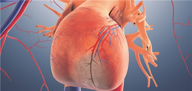 Bei STEMI reduziert eine Aldosteronblockade zusätzlich zur Standardtherapie die Sterblichkeit um 69 Prozent.