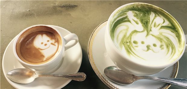 Bei Typ-2-Diabetikern war der Konsum von täglich mindestens vier Tassen grünem Tee plus einer Tasse Kaffee mit einem um 58 Prozent verringertem Mortalitätsrisiko verbunden.