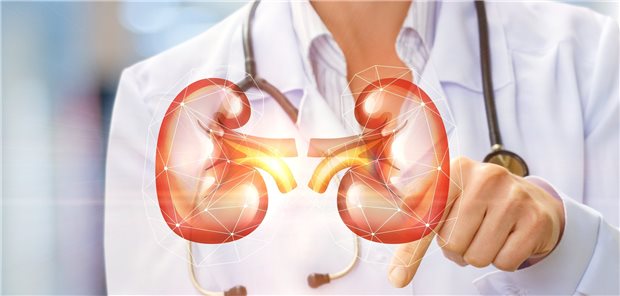 Bei chronischen Nierenleiden ist erstmals wieder eine Therapie zur Prognoseverbesserung in Sicht.
