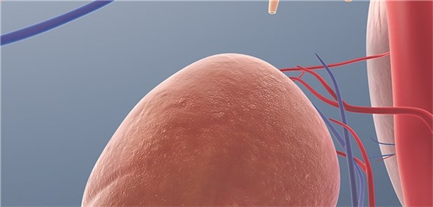 Was ist der optimale Blutdruck? Bei chronischer Nierenerkrankung wird in den meisten Leitlinien ein Blutdruckziel von unter 140/90 mmHg gesetzt.