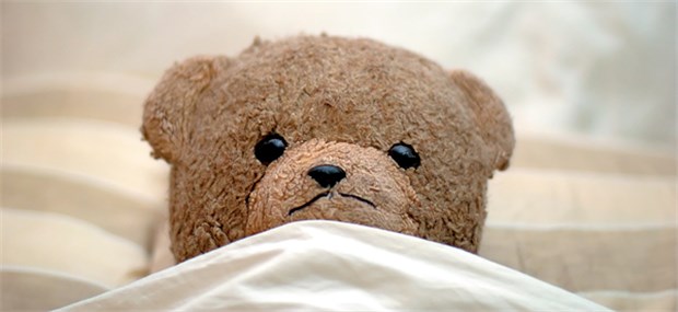 Wenn der Businessman den Teddy im Hotelbett vergisst Bei den Briten ein wichtiges Einschlafritual. Der Teddy muss mit ins Bett, denn er ruft Gefühle von Frieden, Sicherheit und Behaglichkeit hervor.
