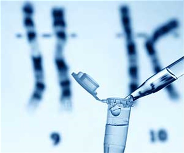 Bei der Analyse kommt es darauf an, dass jeweils beide homologen Chromosomen berücksichtigt werden.