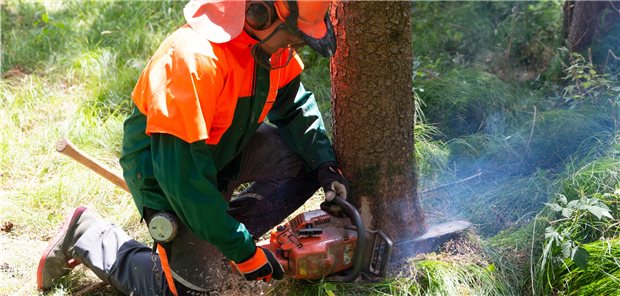 Berufsbedingter Hautkrebs: Rasanter Anstieg bei Verdachtsanzeigen Bei der Arbeit im Freien ist das Risiko, einen berufsbedingten Hautkrebs zu erwerben, höher als bei Büroarbeitern. Die Förster, Gärtner und Landwirte, aber auch Bauarbeiter sollen entsprechend sensibilisiert werden, heißt es von den Berufsgenossenschaften.