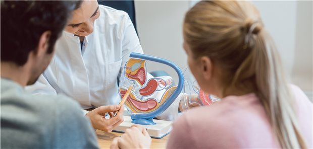 Bei der Beratung von Paaren mit unerfülltem Kinderwunsch sollte immer auch an eine frühzeitige Ovarialinsuffizienz gedacht werden. Hier könnte auch die Schilddrüse mit im Spiel sein.