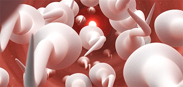 Hormonfreie Pille für den Mann in der Entwicklung Bei der Entwicklung der Pille für den Mann arbeiten die australischen Forscher daran, bei Spermien das chemische Signal, sich zu bewegen, zu blockieren.