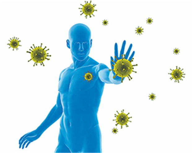 Mastzellen: Dirigenten der Immunantwort Bei der Infektionsabwehr helfen Mastzellen entscheidend mit.