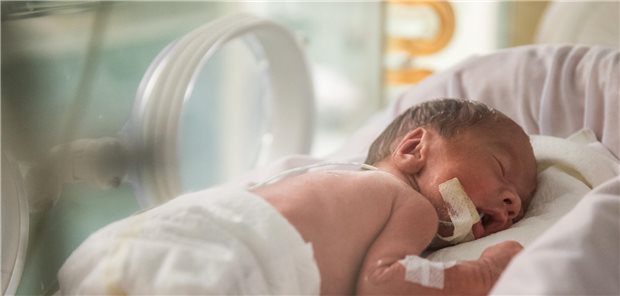 Frühchen auf Station