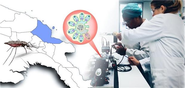 Bei der neuen Methode wird eine Blutprobe in ein starkes Magnetfeld gebracht und mit einem polarisierten Laserstrahl durchleuchtet.
