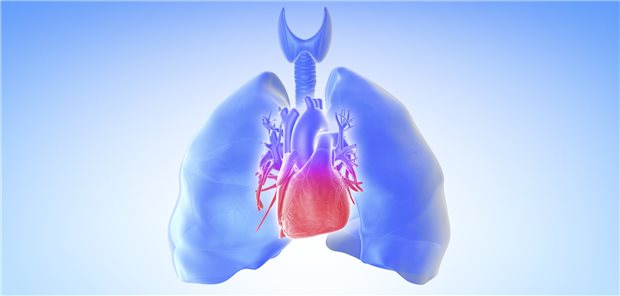 Bei der pulmonalen Hypertonie gelingt es offenbar durch medikamentöse Therapie, das vaskuläre Remodelling zumindest teilweise zurückzubilden.