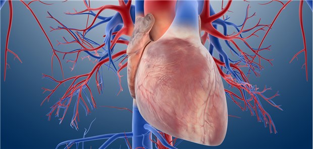 Bei einer Endokarditis lässt sich die Antibiose unter bestimmten Voraussetzungen problemlos von intravenös auf oral umstellen.
