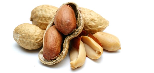 Bei einer Erdnussallergie hat die orale Hyposensibilisierung mit einem Erdnussproteinpulver anscheinend keinen größeren, sondern gar einen geringeren Nutzen als eine erdnussvermeidende Diät.