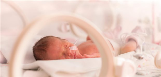 „Bei extrem Frühgeborenen, für die nur wenig Muttermilch vorhanden ist, unterscheidet sich die neurologische Entwicklung im korrigierten Alter von 22 bis 26 Monaten nicht abhängig davon, ob sie Spendermilch oder Formulanahrung erhalten“, lautet das Fazit eines Forscherteams.