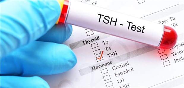 Bei isolierter TSH-Erhöhung und Hypothyreose-Symptome lohnt es sich, die Ursache außerhalb der Schilddrüse zu suchen.