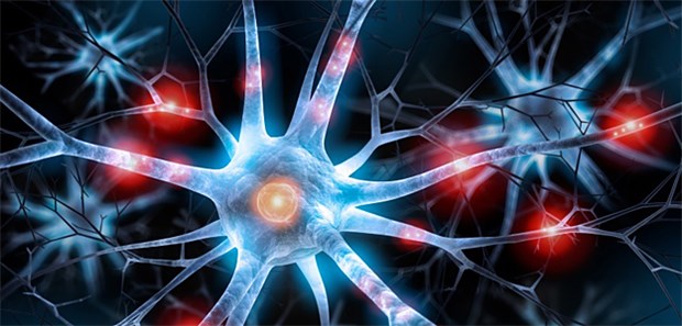 Welchem Schmerzpatienten hilft welche Therapie? Bei manchen Schmerzpatienten reagieren die Nervenfasern überempfindlich auf Reize.