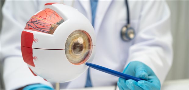 Ein Arzt erklärt einem Patienten anhand eines Modell der menschlichen Anatomie des Auges die Behandlung der endokrine Orbitopathie (EO) einer entzündlich-fibrosierenden Autoimmunerkrankung der Augenhöhle.