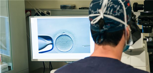 In-vitro-Fertilisation: Tendenziell mehr Einlingsschwangerschaften In-vitro-Fertilisation: Tendenziell mehr Einlingsschwangerschaften