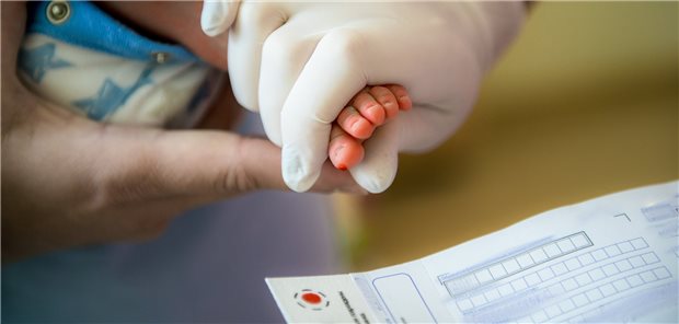 Bluttropfen werden aus der Zehe eines Säuglings auf einen vorbereiteten Testbogen platziert. Beim Screening erfolgt eine Blutuntersuchung zwischen der 36. und 72. Lebensstunde. Nun wird auch auf Sichelzellanämie untersucht.