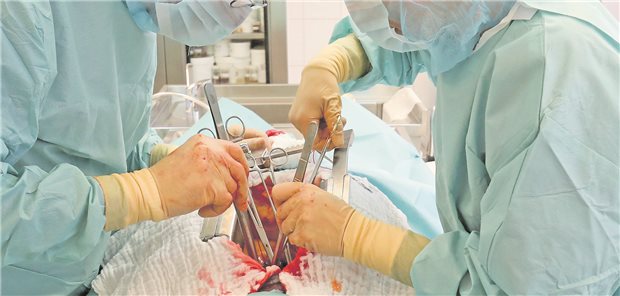 Kardiologen werben für erneute Debatte zur Widerspruchslösung bei Organspenden „Beim Spenderorganmangel ist kein Ende in Sicht“: Kardiologen werben deshalb für die Widerspruchslösung.