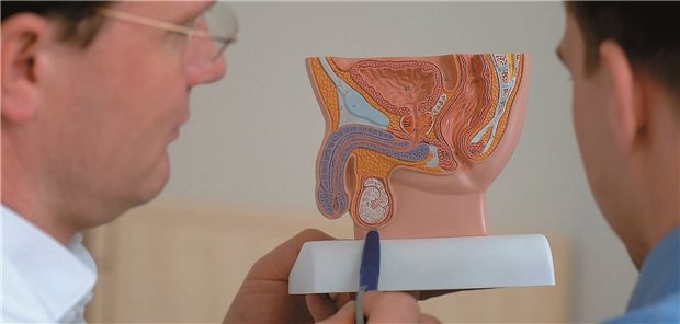 Beratung beim Urologen: Auch das diagnostische Procedere bei Verdacht auf ein Prostatakarzinom kann zum Thema werden (Symbolbild).