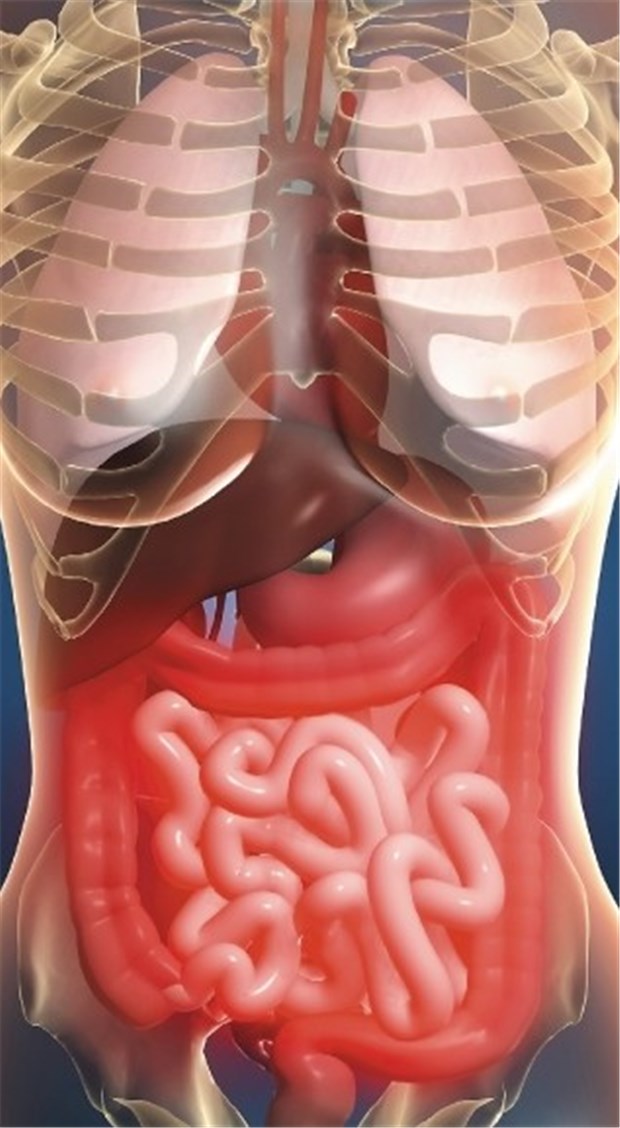 Vom Ösophagus bis zum Kolon: Tumoren des Gastrointestinaltrakts häufen sich bei Diabetes Besonders im oberen Gastrointestinaltrakt, im Dickdarm und an der Leber tritt bei Diabetes gehäuft Krebs auf.