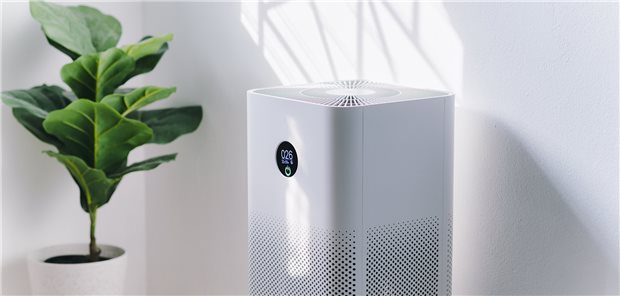 Beste Freunde für die Praxis: Lüfter und Pflanze, da kann man durchatmen. 