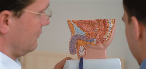 Neuer Versorgungsvertrag der AOK Nordost bei Prostata-Ca Bevor Patienten mit Prostatakarzinom – meist jene, die als austherapiert gelten – in den Versorgungsvertrag aufgenommen werden, erfolgt ein Aufklärungsgespräch in der Praxis. Mathias Ernert / Urologische Klinik, Uniklinik Mannheim (Motiv mit Fotomodellen)