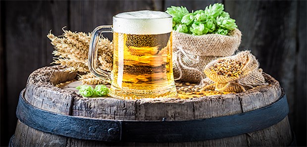 So gesund ist Bier Bier mit Weizen, Gerste und Hopfen: Gerade Letztere enthält wohl gesunde Inhaltsstoffe, so die aktuelle Forschungslage.