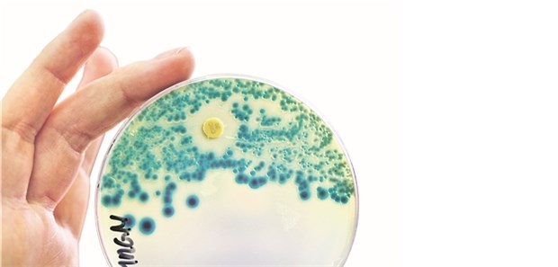Brutstätten für Antibiotika-Resistenzen Brutstätten für Antibiotika-Resistenzen