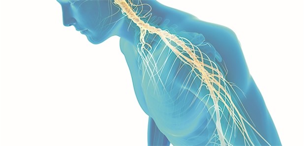 Hautbiopsie kann Parkinson entlarven Hautbiopsie kann Parkinson entlarven