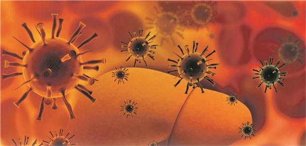 Hepatitis E-Virus hält Forscher auf Trab