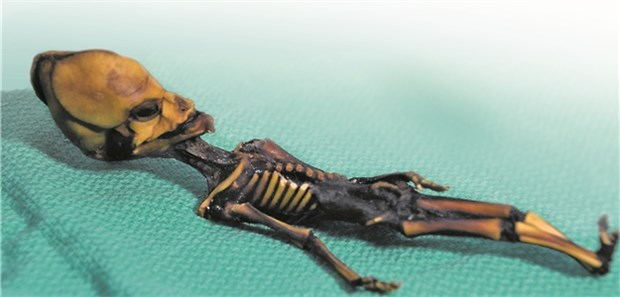 Doch kein Alien Doch kein Alien