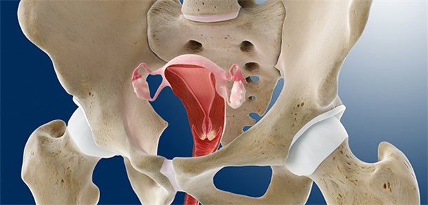 Premiere für Transplantation eines Uterus? Premiere für Transplantation eines Uterus?