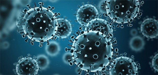 Wie Epithelzellen gegen das Virus kämpfen Wie Epithelzellen gegen das Virus kämpfen