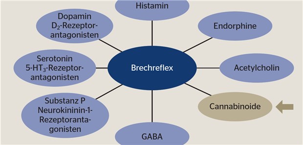 Warum Cannabinoide zur Antiemese bei Krebs? Warum Cannabinoide zur Antiemese bei Krebs?