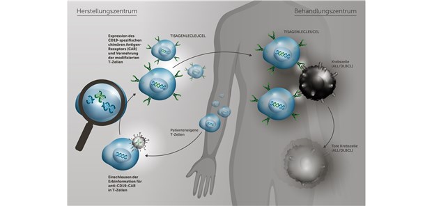 Kymriah® – anhaltende Remissionen bei fortgeschrittenen B-Zell-Erkrankungen Kymriah® – anhaltende Remissionen bei fortgeschrittenen B-Zell-Erkrankungen