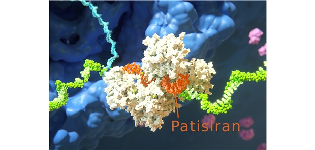 Onpattro® – RNA-Interferenz erstmals bei hATTR-Amyloidose als Therapieoption Onpattro® – RNA-Interferenz erstmals bei hATTR-Amyloidose als Therapieoption
